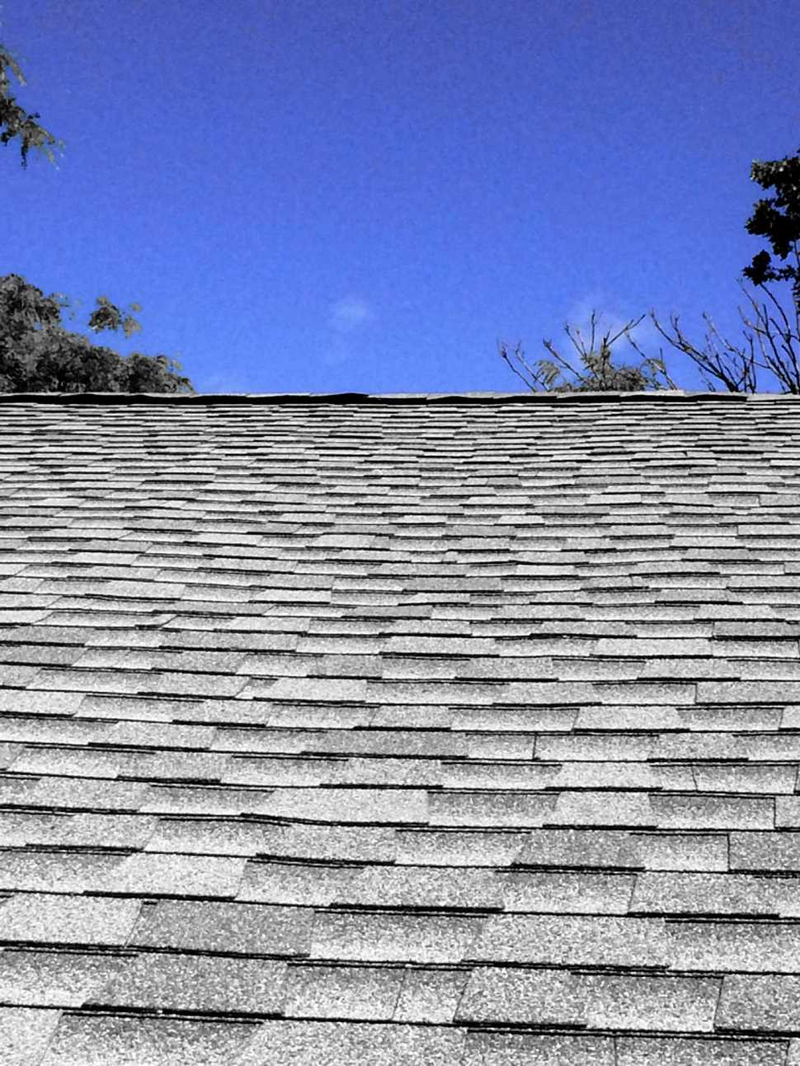 Illustration for article titled 11 Vertical Views From Rooftops